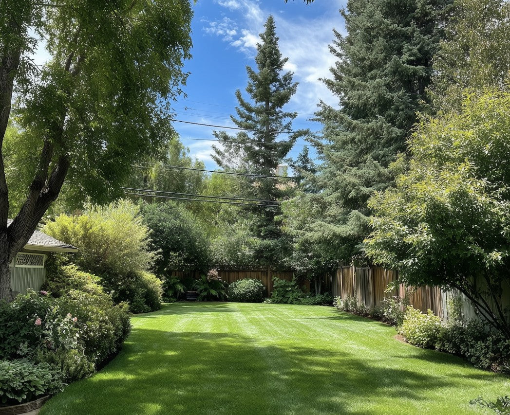 The Best Backyard Games for Kids Ages 4–8 (That Actually Keep Them Outside)