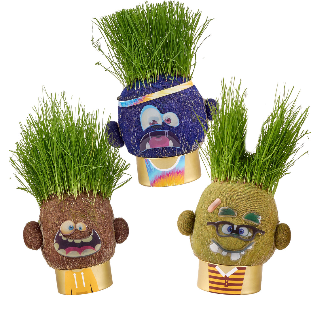 plant pals indoor-outdoor grow and style grass toys 
