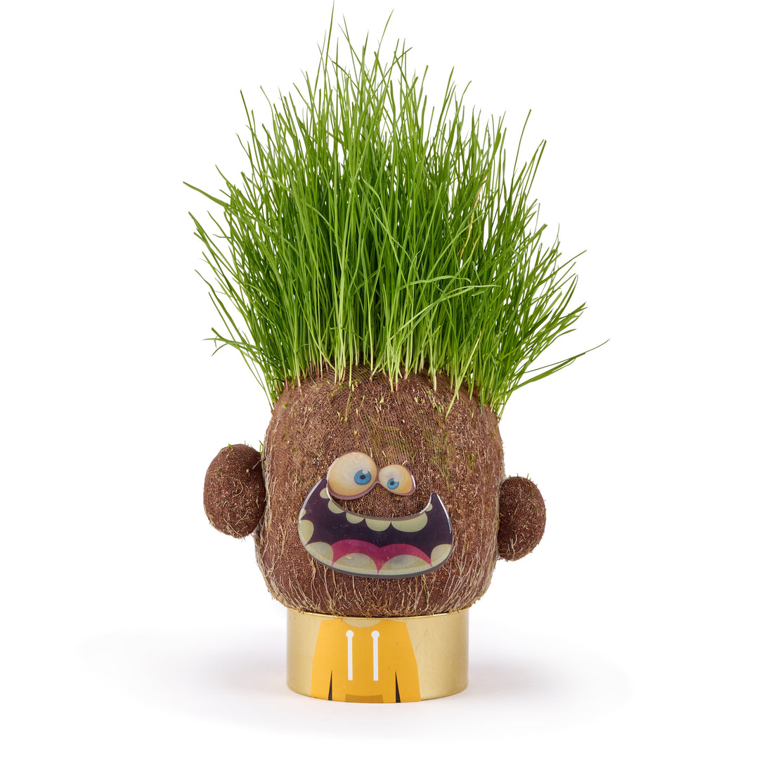 Plant Pals Hank
