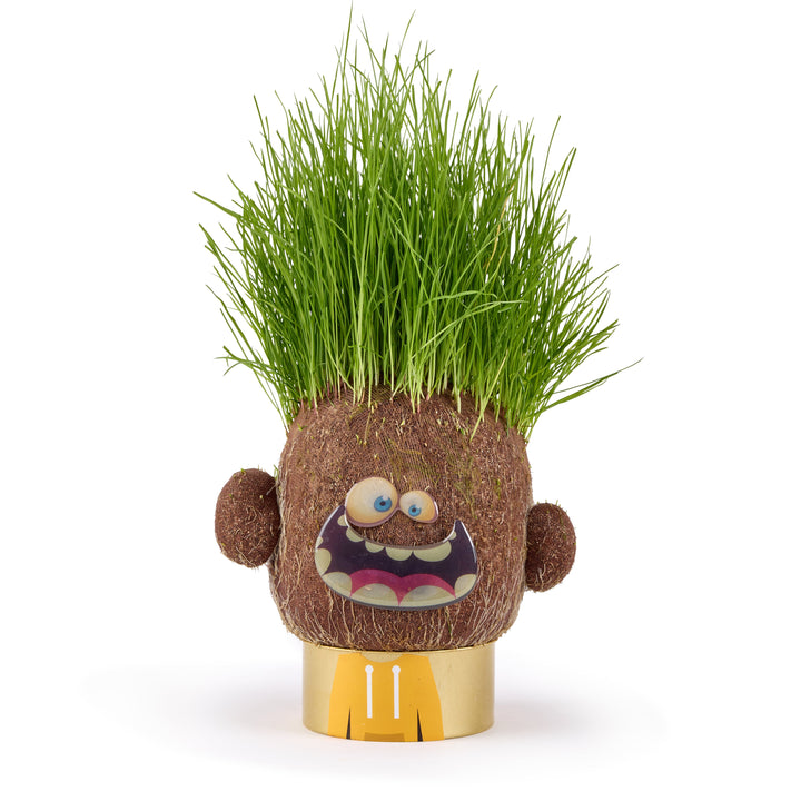 Plant Pals Hank